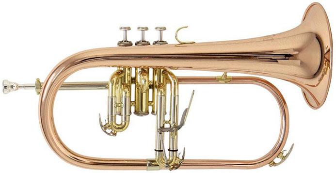 Bugle étude