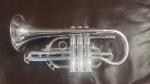 BESSON Prodige 120