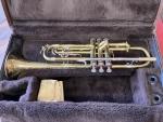 SELMER S BRACES